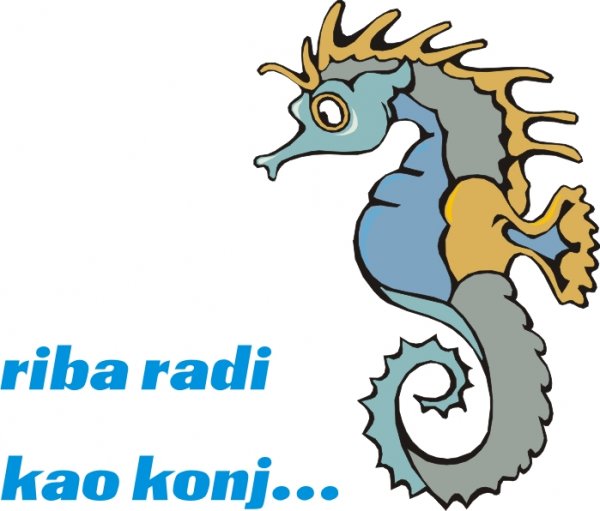 Riba ko konj